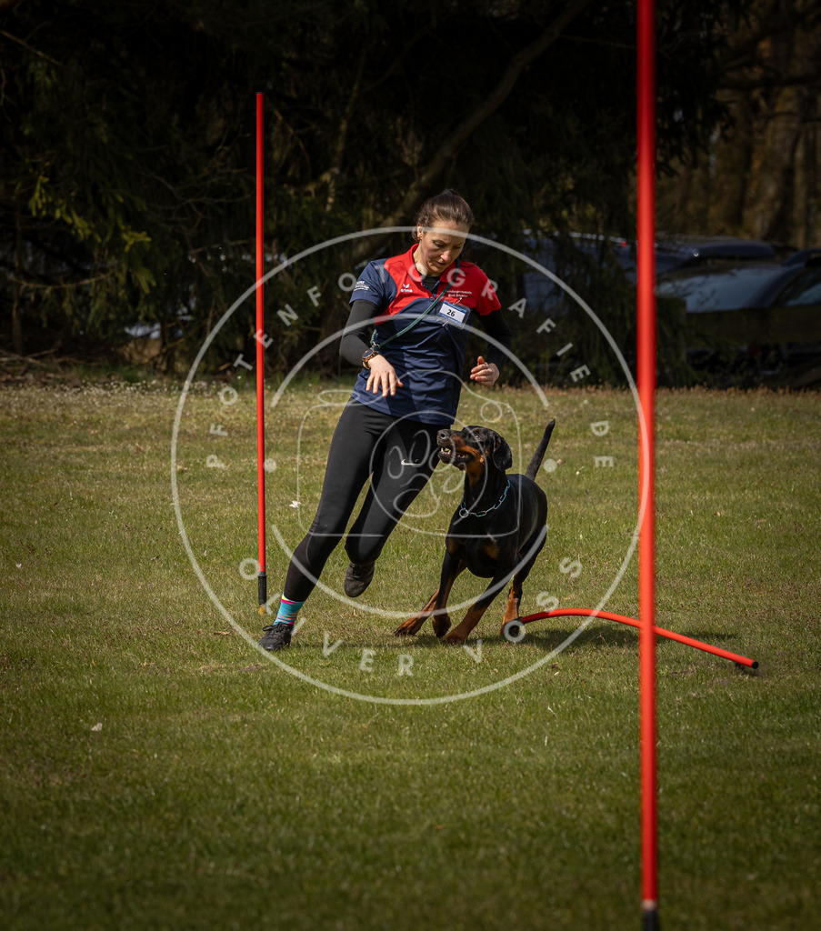 Pfotenfotografie_DV3A4651 | Hundefotografie, Tierfotograf, Pfotenfotografie, Fotoshooting Hund, Hunde Portrait, Hundesport, Hundeportraits, Heideshooting, Hunde, Sportfotograf, Hundefotograf, Turnierhundsport, THS,  - Realisiert mit Pictrs.com