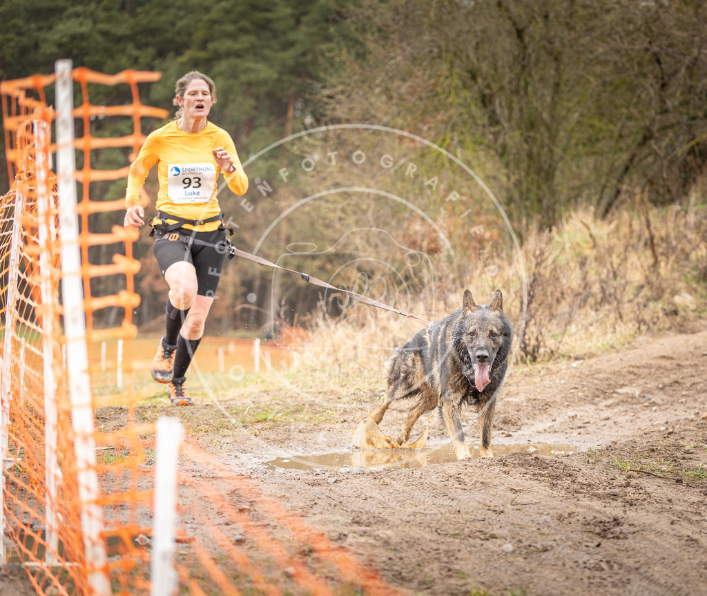 DV3A0470 | Hundefotografie, Tierfotograf, Pfotenfotografie, Fotoshooting Hund, Hunde Portrait, Hundesport, Hundeportraits, Heideshooting, Hunde, Sportfotograf, Hundefotograf, Turnierhundsport, THS,  - Realisiert mit Pictrs.com