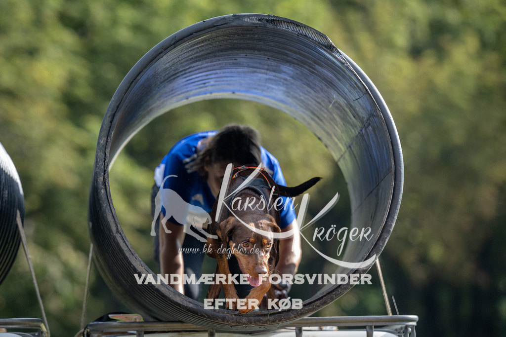 0925_ZZ90430 | kk-dogfotos