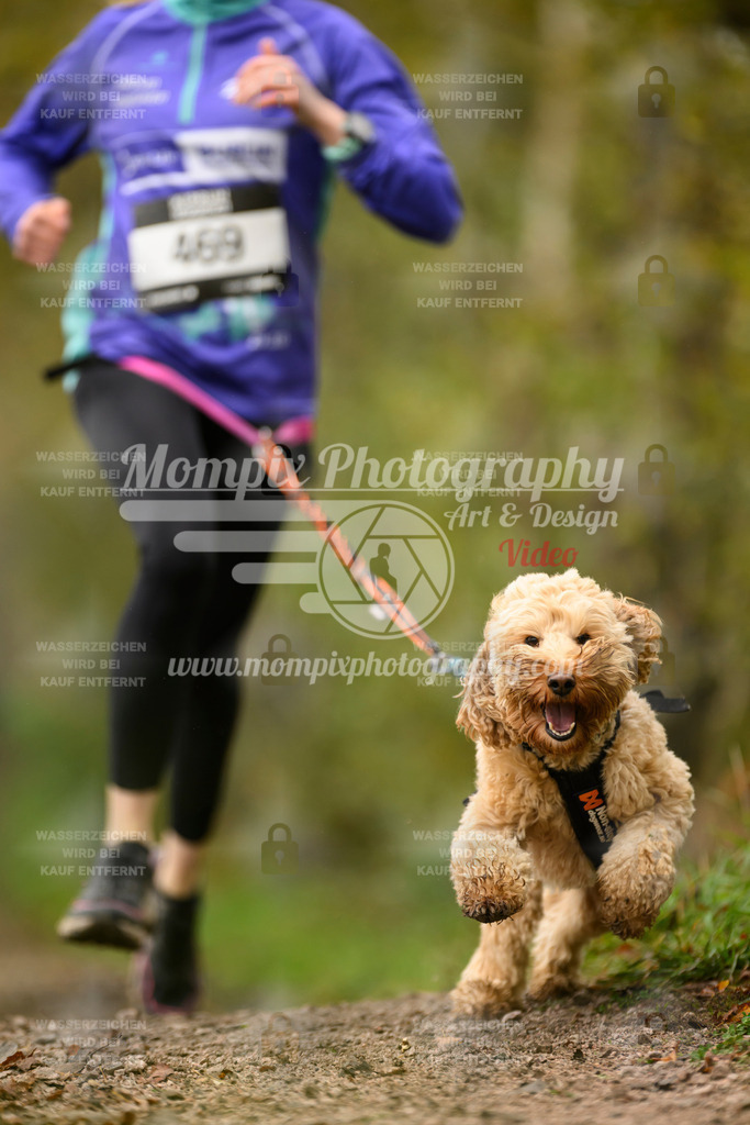 MompixPhotography_20TSB_E6_Run-143 | PayLife