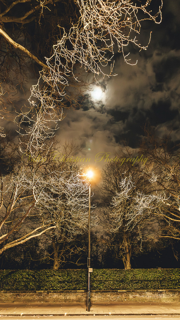 P 42 | Christian Vulin  - Realisiert mit Pictrs.com