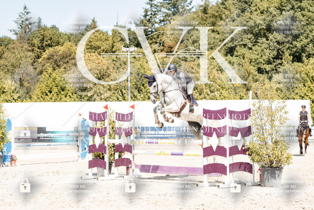 CK900878 | Turnierfotografie Pferdefotografie Trier Rheinland-Pfalz Pferdesport Reitsport Tierfotografie Sportfotografie Pferdevideo Pferdevideografie Equestrianvideography equestrianphotography  - Realisiert mit Pictrs.com