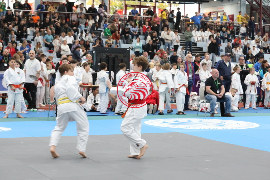 1J7A1664 | Fotos vom Adler Cup - Pictures from Adler Cup

Hier findet Ihr alle Eindrücke und großen Momente der Adler Cup Wochenenden. Here you will find all impressions and great moments of the Adler Cup weekends. - Realisiert mit Pictrs.com