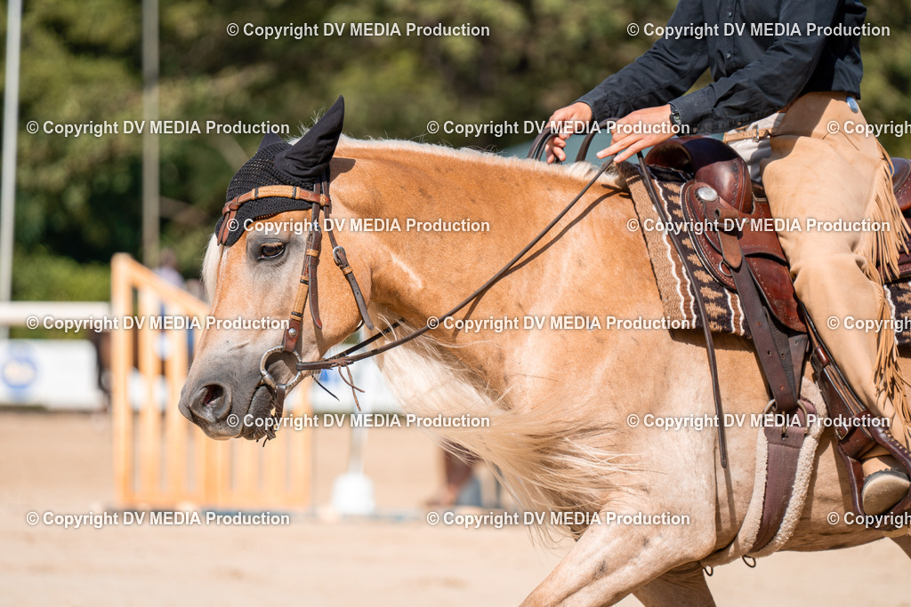 ZH100308 | dv-media-shop - Realisiert mit Pictrs.com