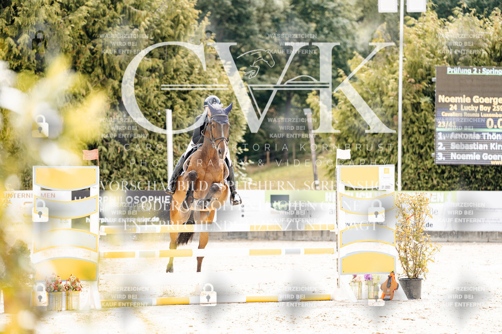 CK909275 | Turnierfotografie Pferdefotografie Trier Rheinland-Pfalz Pferdesport Reitsport Tierfotografie Sportfotografie Pferdevideo Pferdevideografie Equestrianvideography equestrianphotography  - Realisiert mit Pictrs.com