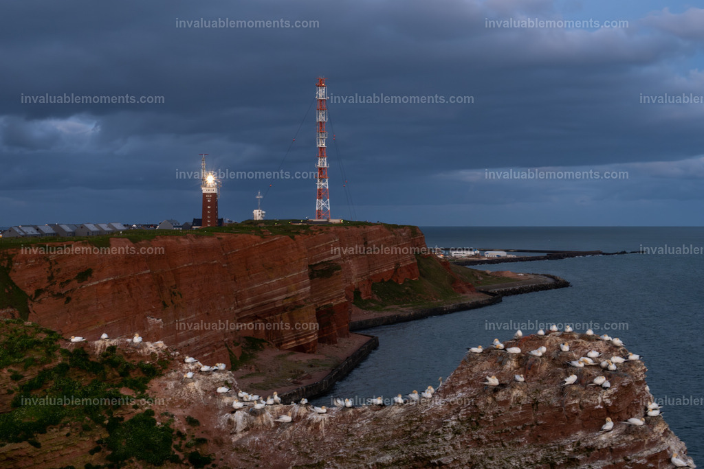 DSC_6642-2-Verbessert-RR | invaluablemoments.com - Realisiert mit Pictrs.com