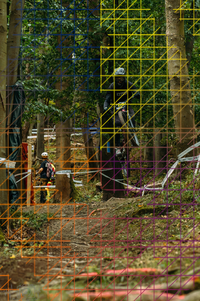 PAE-0252 | Einzigartige Fotokunst für dein Zuhause: Entdecke hochwertige Wandbilder, edle Prints und emotionale Motive von Wildlife, Natur und Landschaften - Realisiert mit Pictrs.com