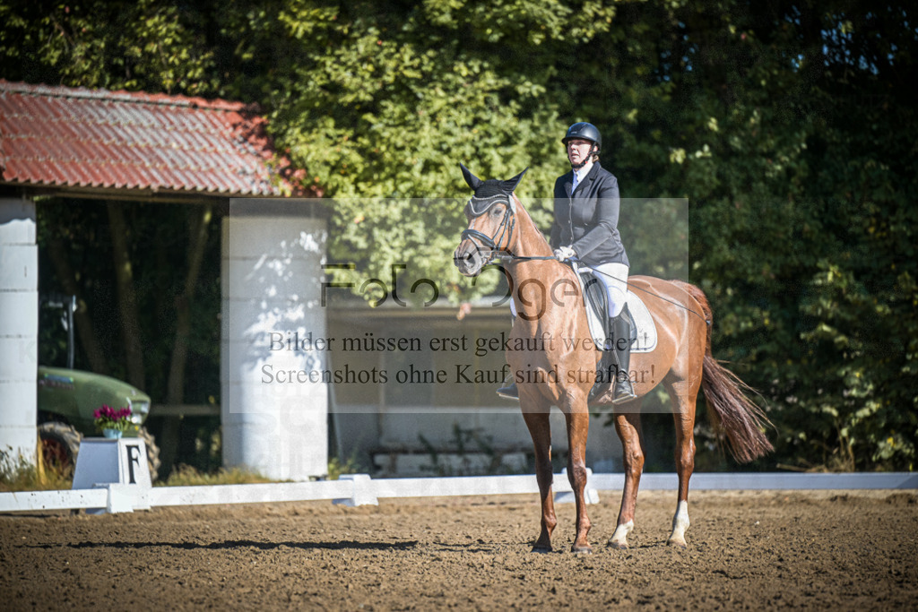 DOS_1125 | Entdecke hochwertige Reitturnierfotos von Foto Oger. Professionell, emotional und authentisch – jetzt Lieblingsmomente im Shop bestellen.Deutschlandweite Turnierfotografie. - Realisiert mit Pictrs.com