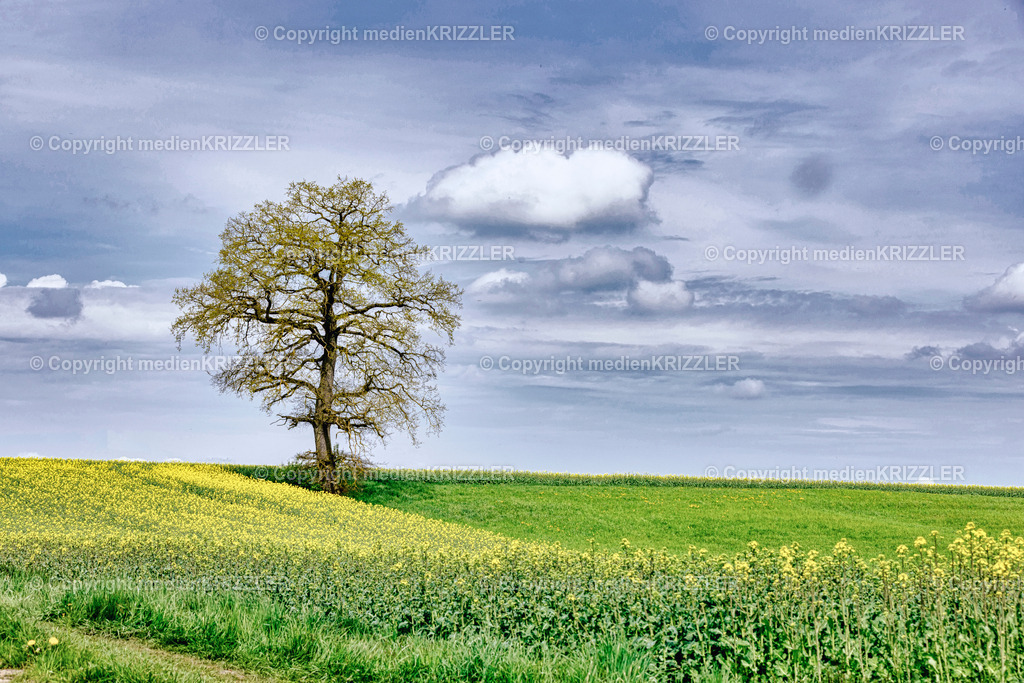 _J3A8901 | medienkrizzler - Realisiert mit Pictrs.com