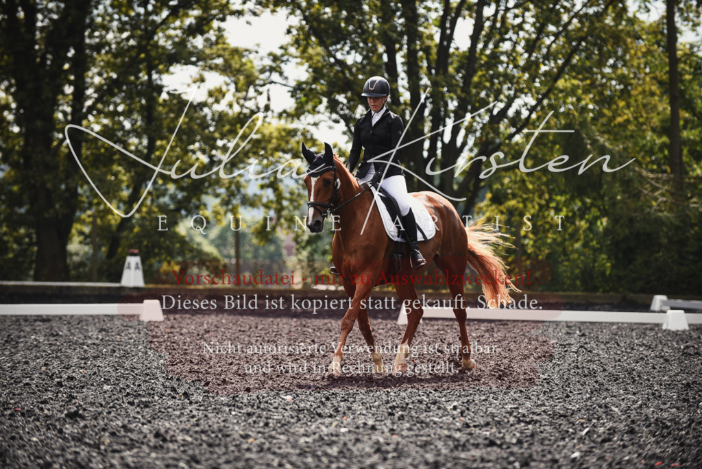 DSC_3889 | Pferde- und Turnierfotografie in Westsachsen. Pferdeportraits, Auftragszeichnungen und intuitive Kunst.