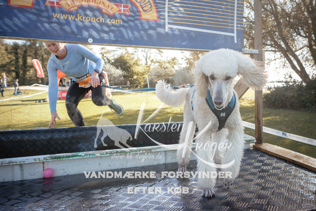 1220_ZZ95566 | kk-dogfotos