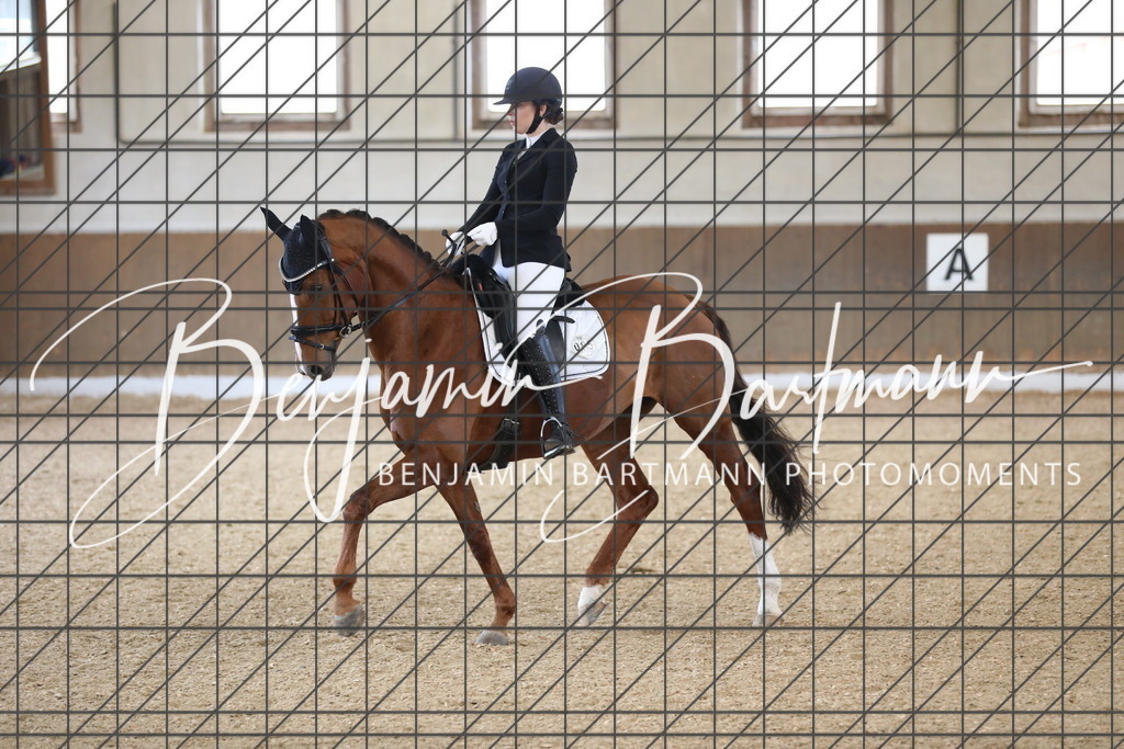 AZ2A0540 | Benjamin Bartmann Photomoments