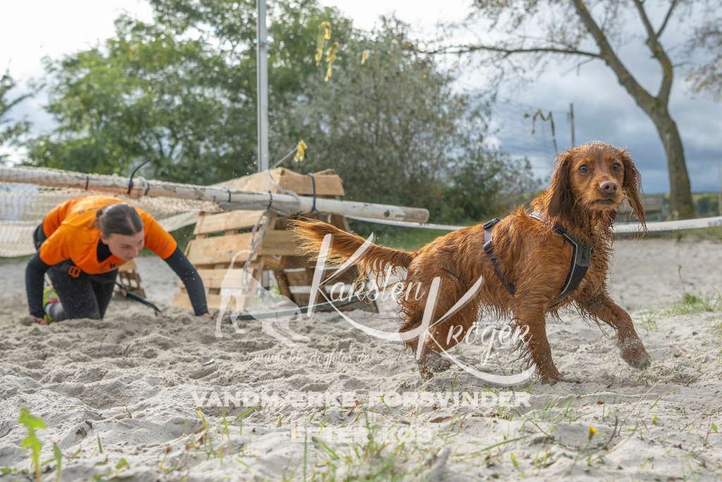 1144_ZZ99039 | kk-dogfotos
