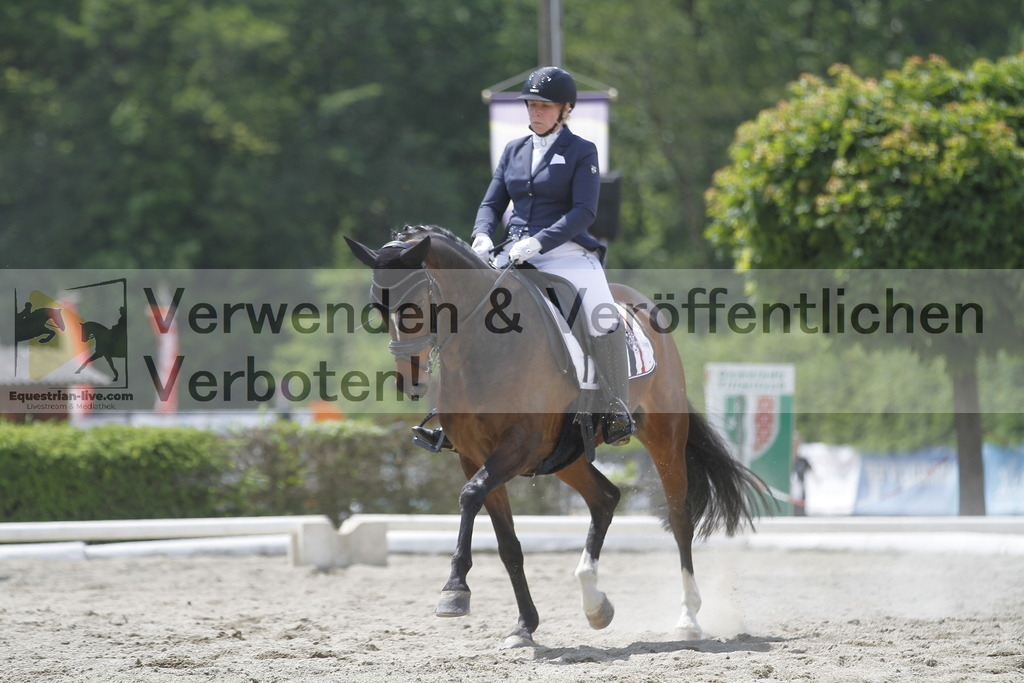 _MG_9937 | equestrian-live-com