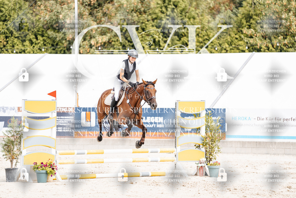 CK906580 | Turnierfotografie Pferdefotografie Trier Rheinland-Pfalz Pferdesport Reitsport Tierfotografie Sportfotografie Pferdevideo Pferdevideografie Equestrianvideography equestrianphotography  - Realisiert mit Pictrs.com
