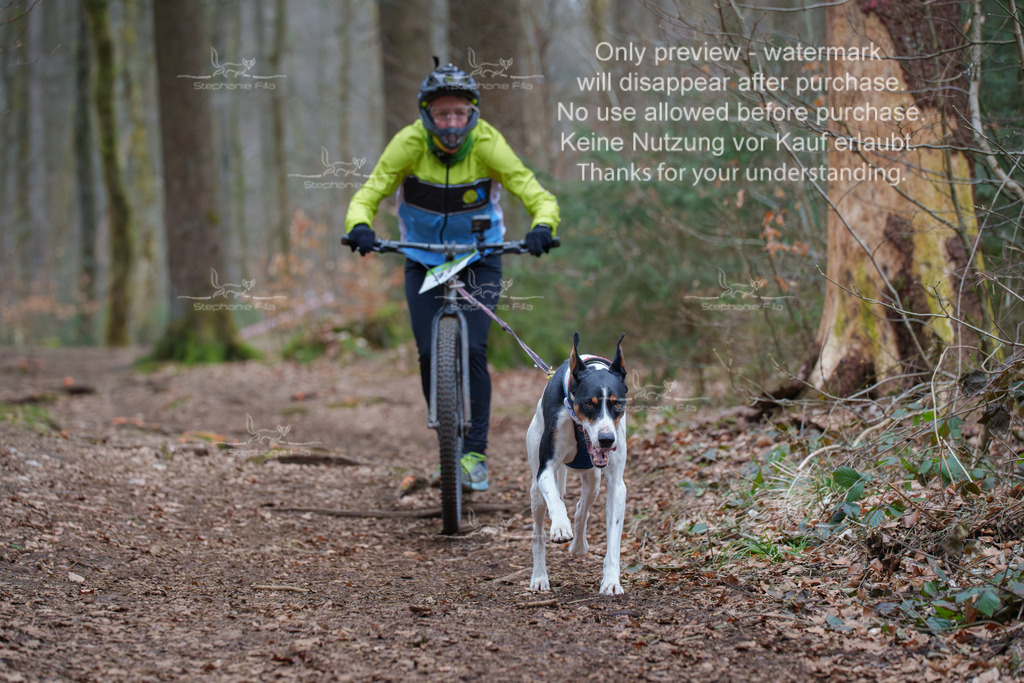 Scooter_So-108 | stephaniefillaphotographie - Realisiert mit Pictrs.com