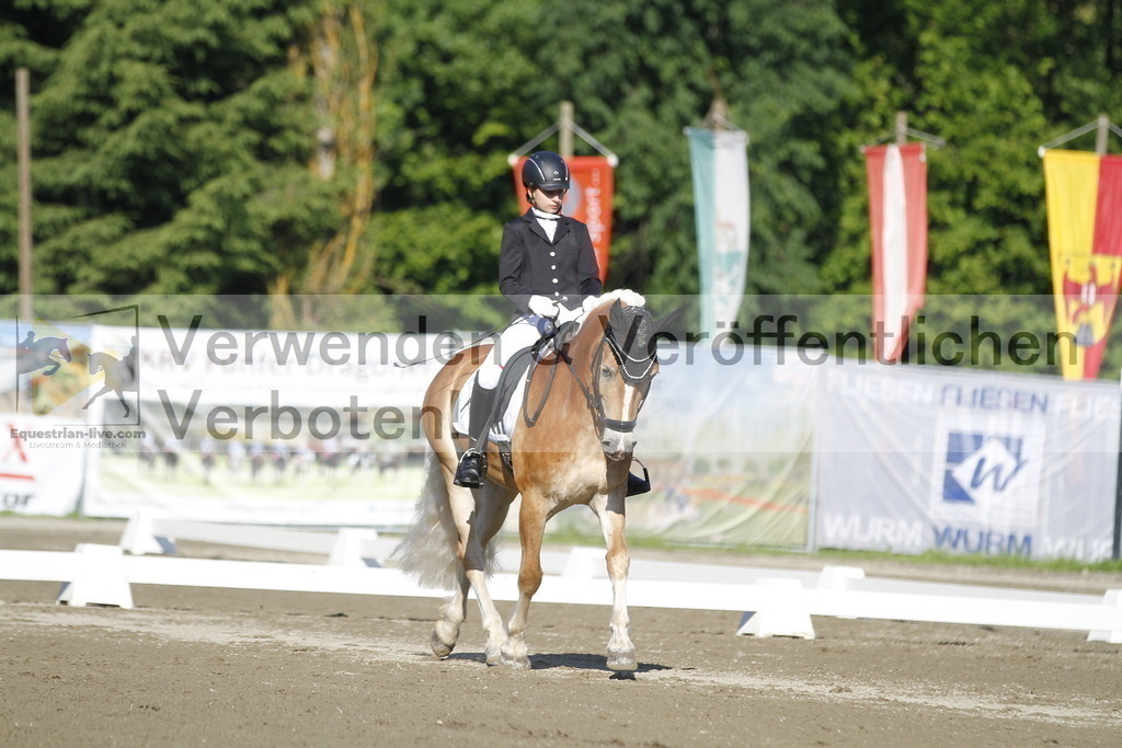 _MG_0452 | equestrian-live-com