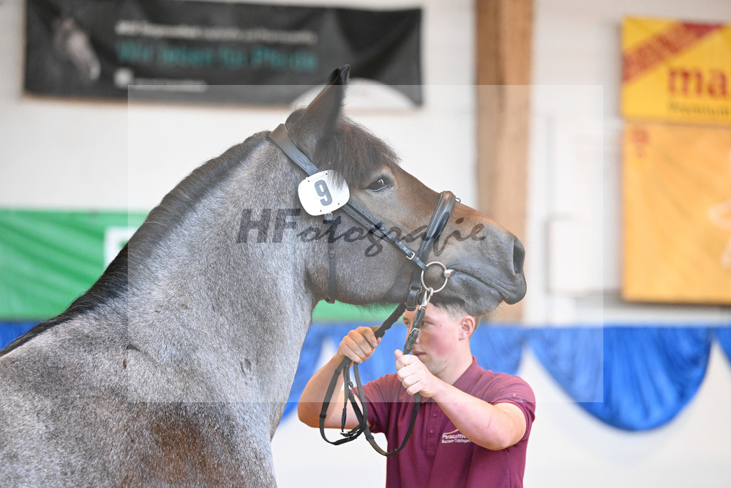 Kat-Nr. 9 Tanja vom Ilkendorf_Reichel_53220968 | hf-fotografie - Realizzato con Pictrs.com