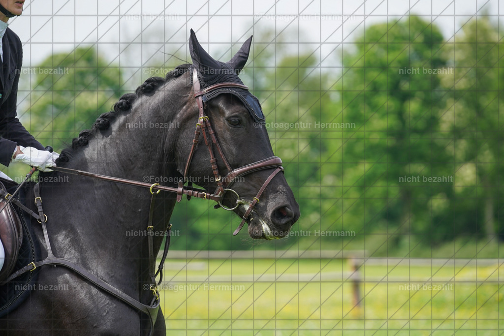 20240509-FAH02821 | Turnierbilder der Turnierfotografen Bayern, Pferdesport Fotografie, Reitsportbilder, Turnier Landberg am Lech, Turnierbilder bayern, Fotoagentur Herrmann