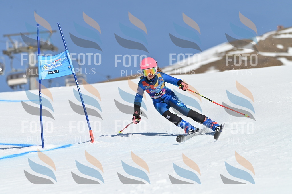 BGV_8223 | holidayphoto