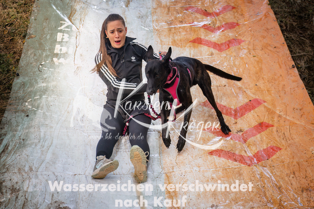 1047_ZZ94584 | kk-dogfotos