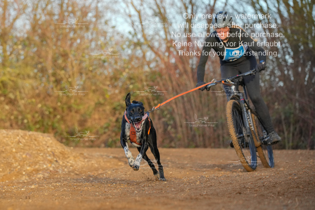 So_DVGBSP2025_Bike (126 von 358) | stephaniefillaphotographie - Realisiert mit Pictrs.com