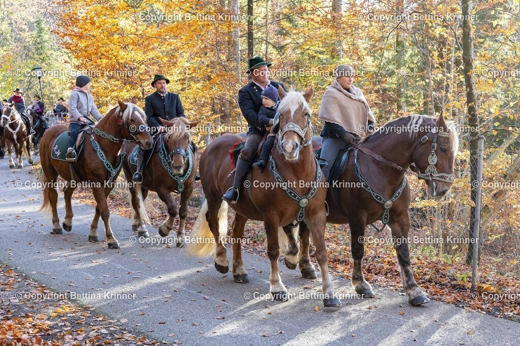 LL24-304 | foto-bettina-krinner - Realisiert mit Pictrs.com