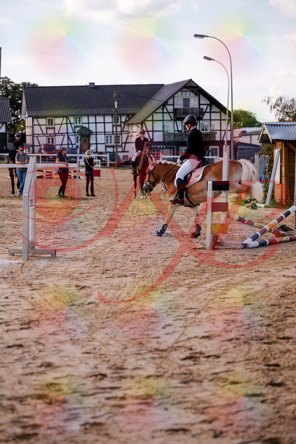 2026_10_03_Siefer-Hof_145517_Z81_35975674 | Professionelle Reitsport-, Turnier- und Eventfotografie von Robert Broda. Galerien mit ausgewählten und bearbeiteten Bildern direkt online ansehen und bestellen.