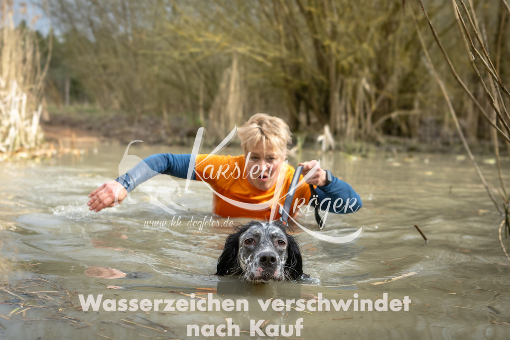 1554_ZZ94472 | kk-dogfotos