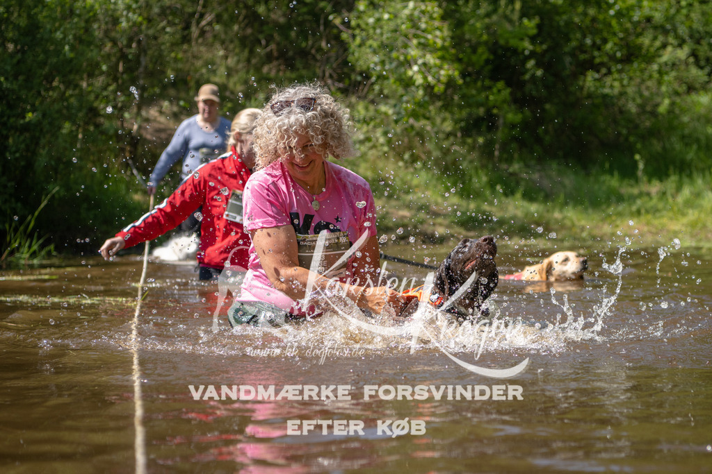 1518DKK992899 | kk-dogfotos
