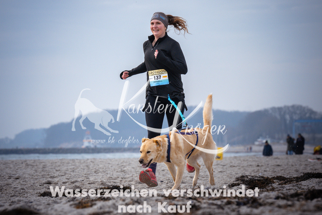 1038_ZZ95715 | kk-dogfotos