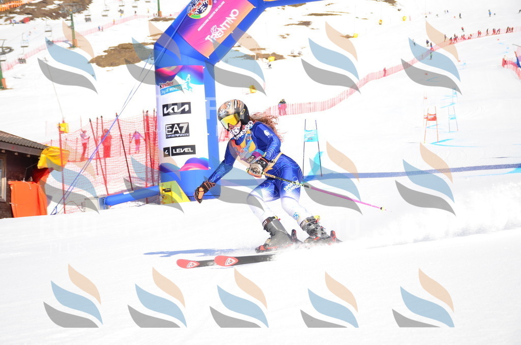 VR4_9151 | holidayphoto