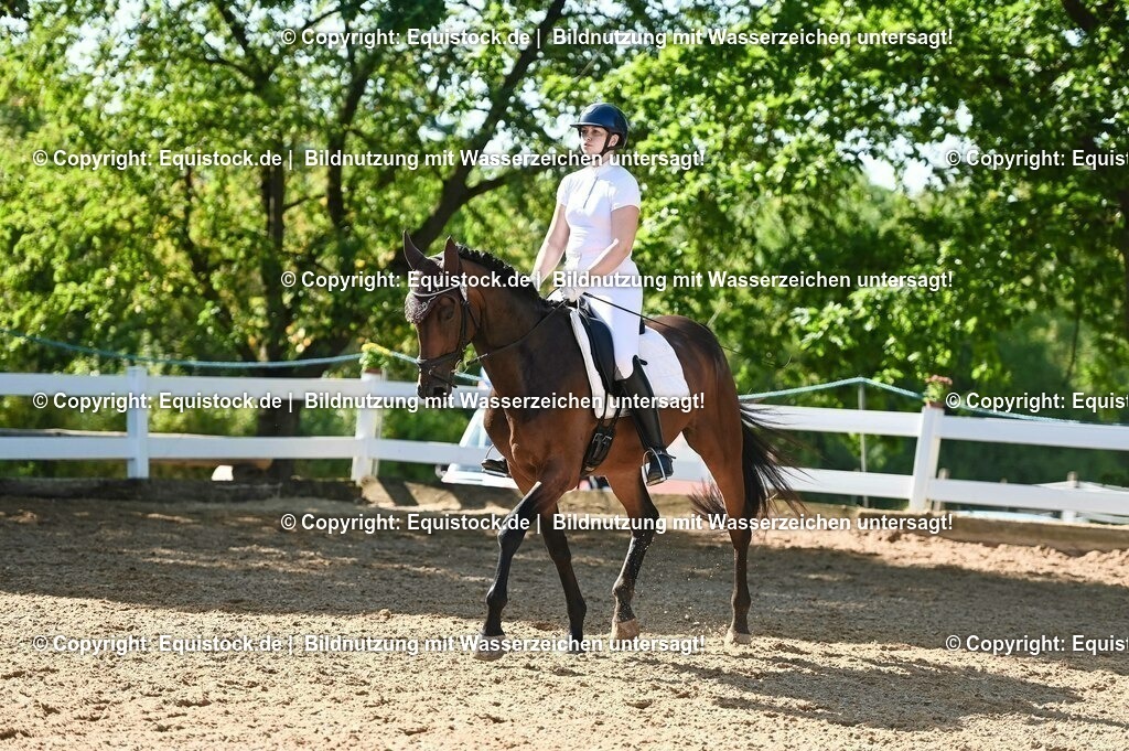 20230715_06_Dressurpferdeprfg. Kl.A_0268 | equistock