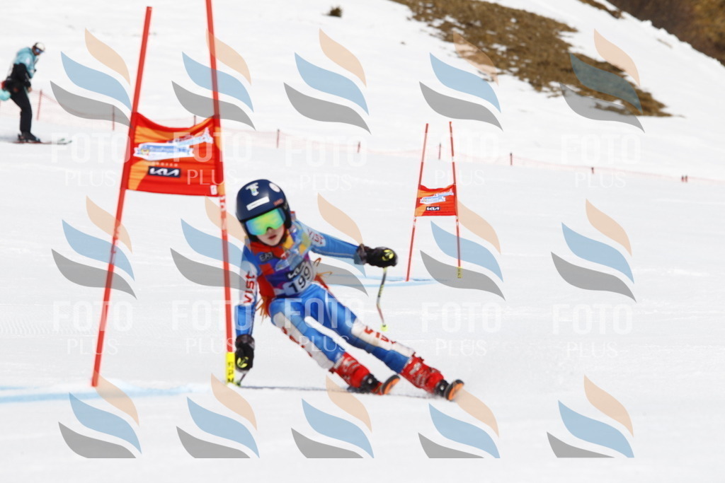 _U3G5186 | holidayphoto