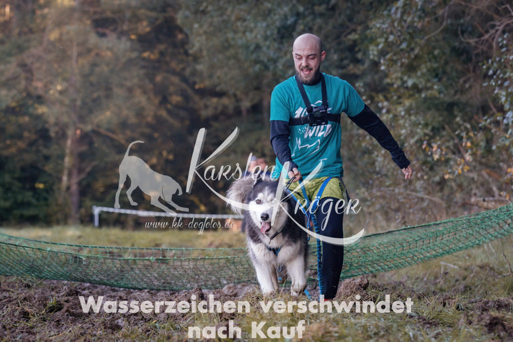 1044_ZZ92162 | kk-dogfotos