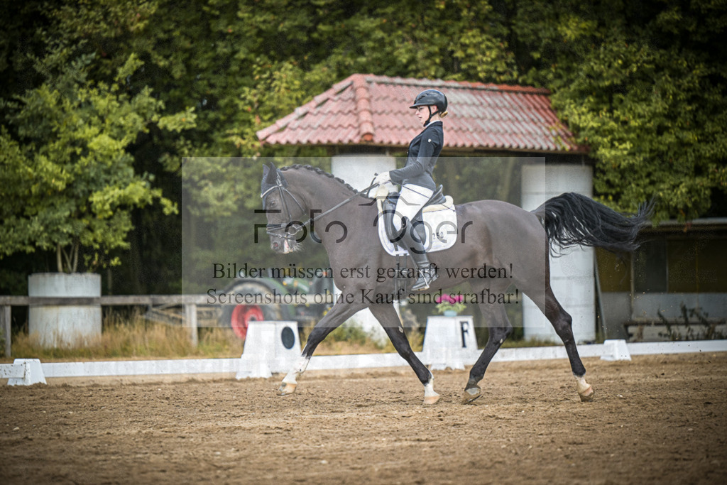 DOS_4778 | Entdecke hochwertige Reitturnierfotos von Foto Oger. Professionell, emotional und authentisch – jetzt Lieblingsmomente im Shop bestellen.Deutschlandweite Turnierfotografie. - Realisiert mit Pictrs.com