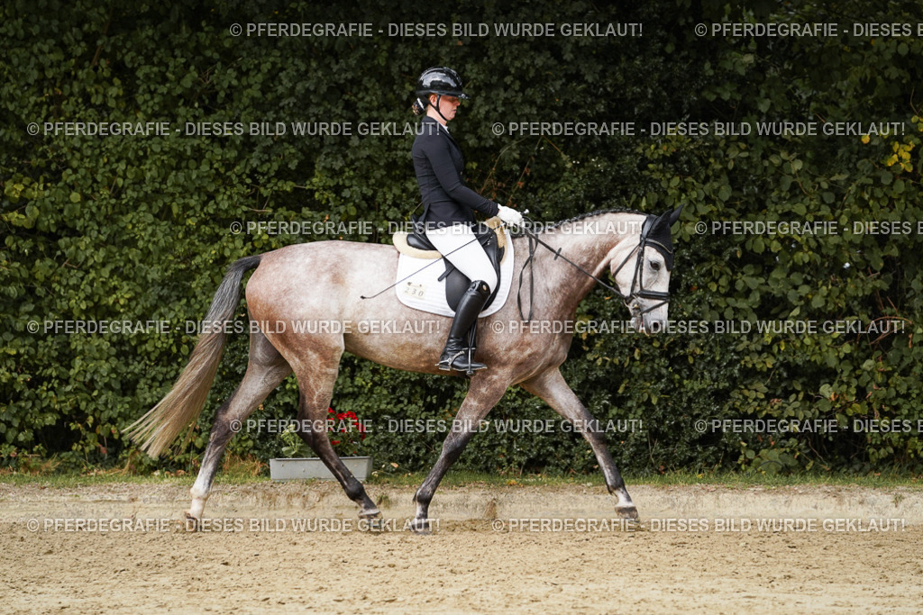 DSC00692 | Pferdegrafie