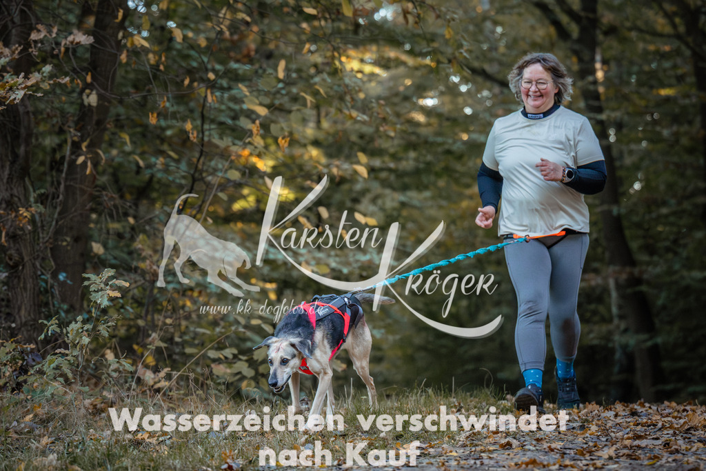 0900_ZZ96840 | kk-dogfotos