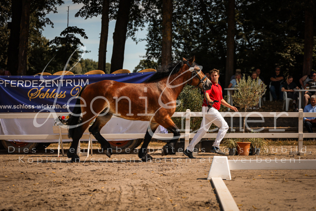 1.Sa00021 | Leoni Ertmer Photography - Realisiert mit Pictrs.com