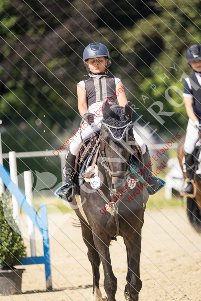 IMG_3640 | Sport-, Event- und Tierfotos in Profiqualität. Einfach auswählen, bestellen und herunterladen. Dein Moment – perfekt festgehalten.