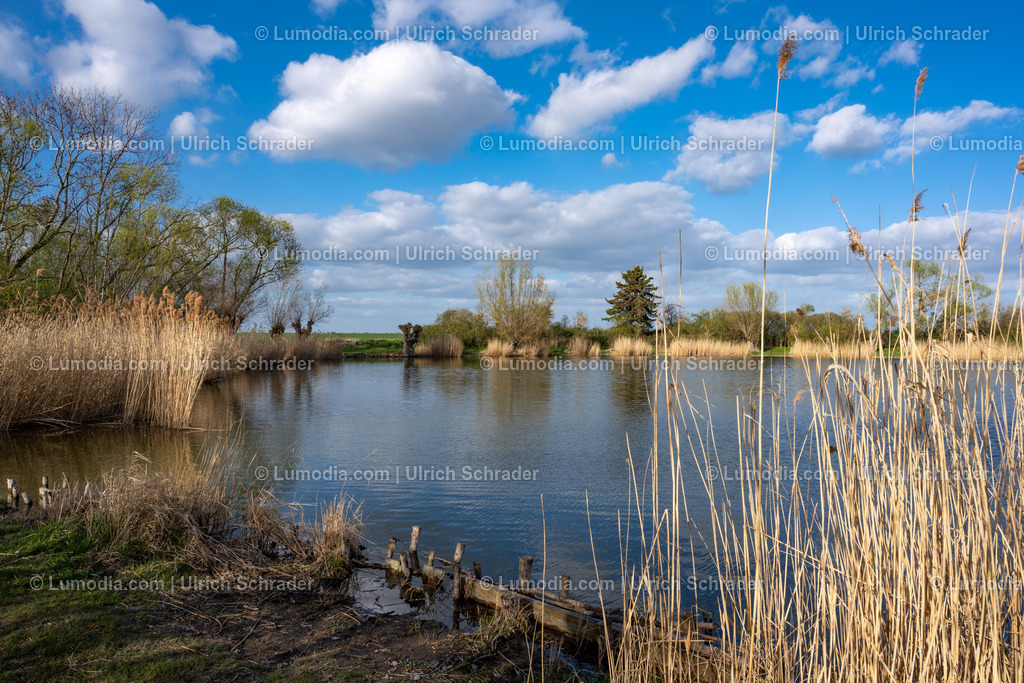10049-10681 - Teiche bei Gröningen | max. Auflösung 8256 x 5504 - Realisiert mit Pictrs.com