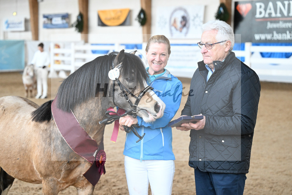 Kat-Nr. 15 Leybucht Bavarian Bailey v. Penymorfa Bailey_Nieberle_9260679 | hf-fotografie - Realisiert mit Pictrs.com