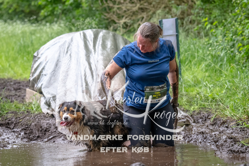 1631_ZZ94429-Bearbeitet | kk-dogfotos