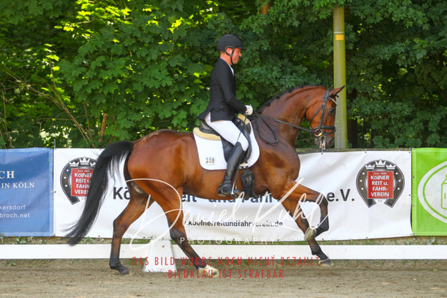 DKP42290 | Turniersportfotografie; Pferdefotografie; Dressurfotografie