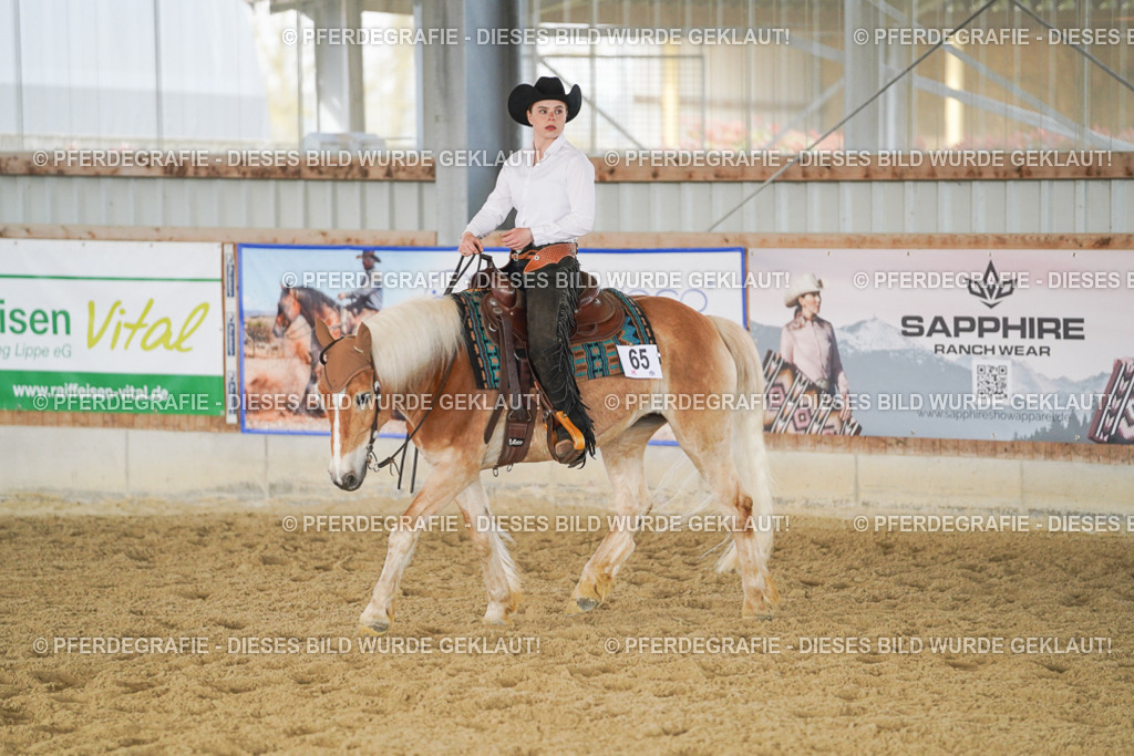 DSC01192 | Pferdegrafie