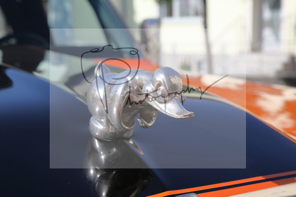 IMG_4143 | Gerhard Witt