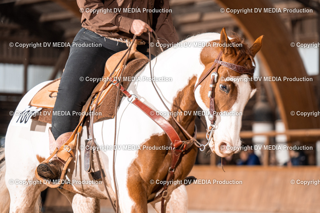 Heidelberg Tag 2-617 | dv-media-shop - Realisiert mit Pictrs.com