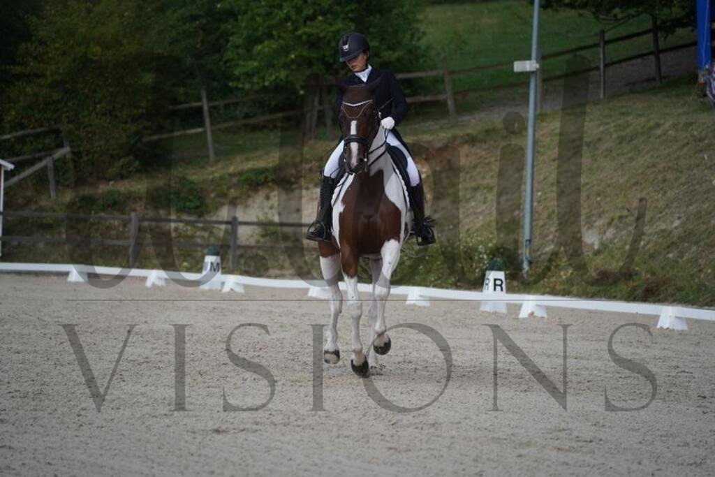 tbhsamstag (1596) | d.tail Visions - Shop - Realisiert mit Pictrs.com