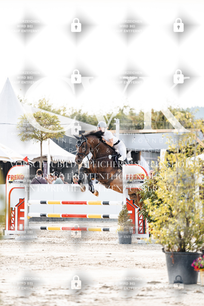 CK906417 | Turnierfotografie Pferdefotografie Trier Rheinland-Pfalz Pferdesport Reitsport Tierfotografie Sportfotografie Pferdevideo Pferdevideografie Equestrianvideography equestrianphotography  - Realisiert mit Pictrs.com