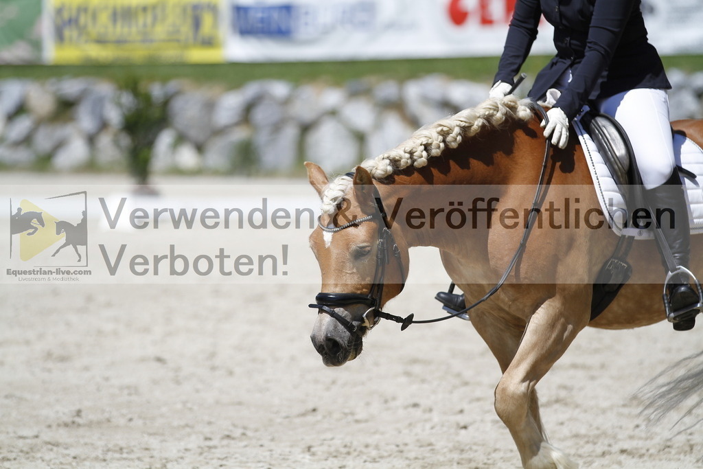 _MG_5329 | equestrian-live-com
